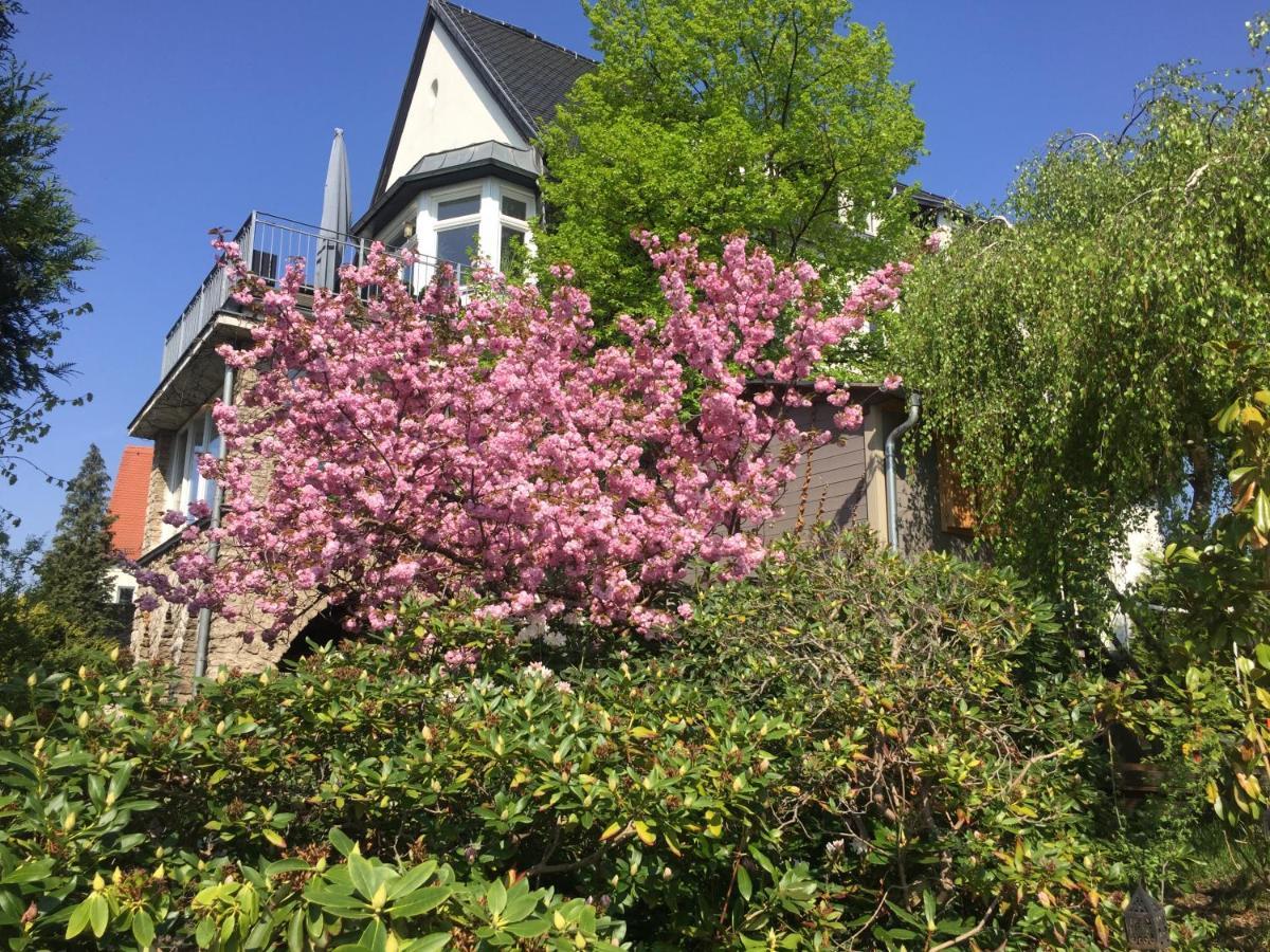 Ferienwohnung Burkhardt Meissen Bagian luar foto